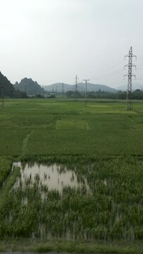 Drone flying at low altitude over the green rice fields among the rocky mountains of Hanoi Vietnam