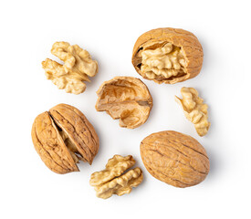 Walnut on white background