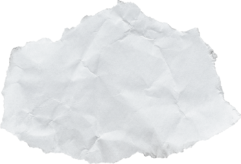 White Textured Torn Paper Piece