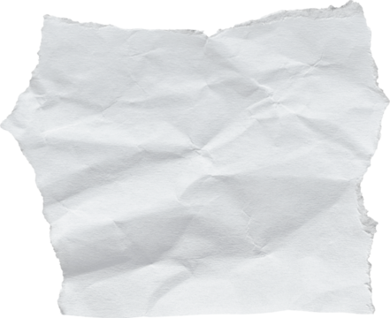 White Textured Torn Paper Piece