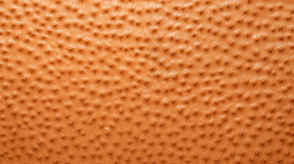Ostrich Skin Leather, Texture Background Abstract Image Pattern, For Wallpaper, Background, Cover and Screen of Cell Phone, Smartphone, Computer, Laptop, Format 9:16 and 16:9 - PNG