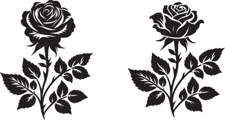 Rose Silhouette Vector Illustration EPS