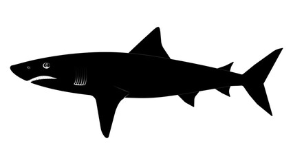 Naklejka premium shark illustration