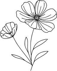 This is an illustration of flowers in a simple and modern line art style. The image features various types of flowers with different shapes and sizes, each with unique petal and leaf details.