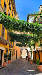 Colorful street with hanging vines in the old historic neighborhood of Trastevere, Rome, Italy