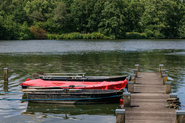 Fototapeta premium Sommertag an einem See im Münsterland