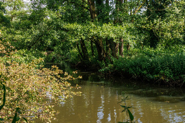 Sommertag an einem See im Münsterland