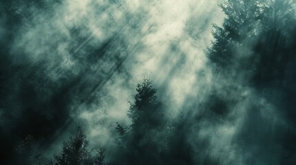 Fototapeta premium A mysterious background of a dense forest shrouded in thick, rolling fog with soft, diffused light