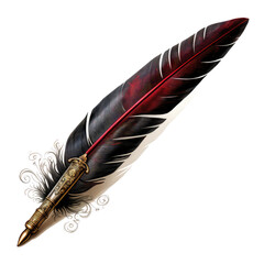 A feather with a black and red tip