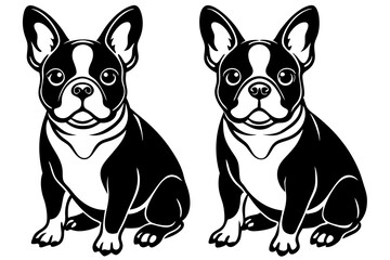 two French bulldogs vector illustration