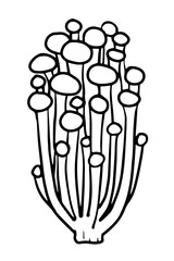 Enoki mushroom. Fungus hand drawn illustration. Simple mushrooms icon. 