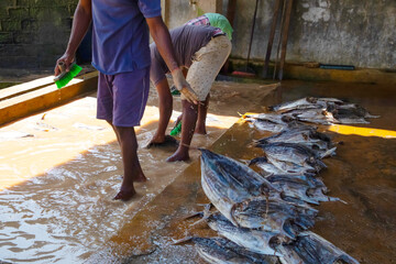 Workers at a small fish factory
