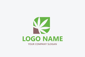 Fototapeta premium leaf logo design ready vector template
