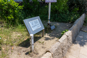 大阪／晴れた日の天保山公園の山頂（2024年6月14日撮影）