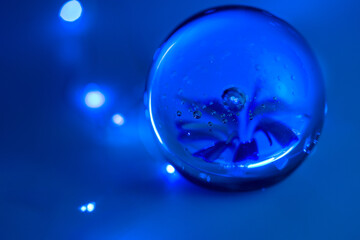 transparent glass sphere containing a blue flower, on a night-blue background with small illuminated spots, creating a magical night-time atmosphere