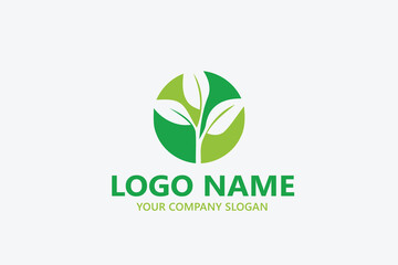  leaf logo design ready vector template