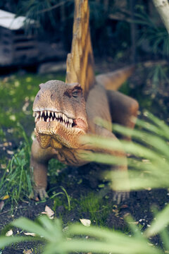 The dinosaur dimetrodon looks like a reptile, it has curved hind legs and the lower part of its body is pressed to the ground. There is a place to copy. High quality photo