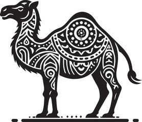 camel and pyramids