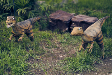 Two Velociraptors stand against a background of rocks and grass. This dinosaur lived at the end of the Cretaceous period. With space to copy. High quality photo