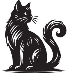 black and white cat