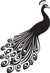 Fototapeta premium peacock silhouette