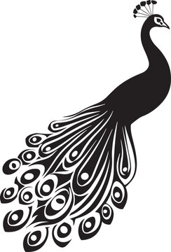 peacock  silhouette