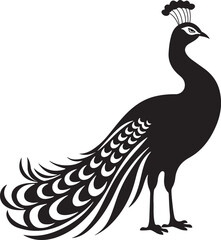 peacock  silhouette vector
