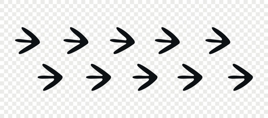 Footpath trail of animal. Masked Lapwing paws. Paw foot trail print of Masked Lapwing on white background.Vector animal steps in black color.	