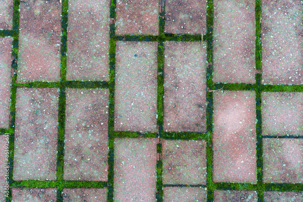 Wall mural paving slabs close-up. urban infrastructure.