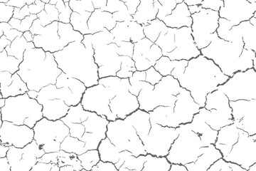 The texture of the cracks is white and black. Vector background. Cracked ground. Structure of cracks. Cracks in the texture of dry soil surface.