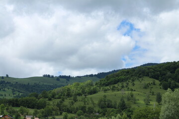 Obraz premium A landscape with trees and clouds