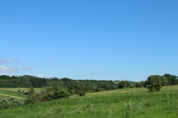A field with trees and blue sky