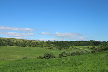 A green field with trees and blue sky