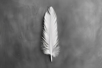 A black and white photo featuring a single, delicate feather centered against a textured and grey background. The contrast highlights the intricate details of the feather's barbs and downy base.