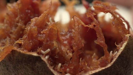Rotten wood apple fruit with Worms and tiny insects and maggots
