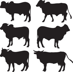 Black silhouettes of cows vector