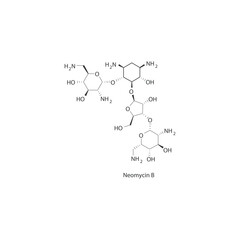 Diagram showing biosynthesis of Leukotriens from Arachidonic acid via enzymatic reaction - schematic molecular strcuture chemical illustration.