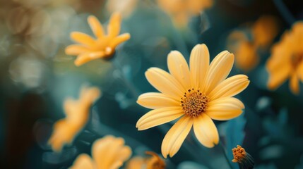 Close up photo of yellow flowers with ample space for text