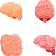 Brain organ icons set cartoon vector. Left and right hemisphere of human brain. Physiology, neurobiology