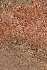 A detailed view of a sandy beach with waves breaking on the shore, featuring pink tones, pink sand and shell.
