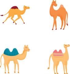 Cute camel icons set cartoon vector. Various type of camel with saddlery. Desert animal