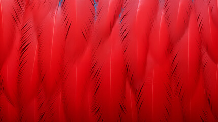 Scarlet Macaw Feathers, Abstract Image Pattern Background Texture, For Wallpaper, Background, Cell Phone Cover and Screen, Smartphone, Computer, Laptop, Format 9:16 and 16:9 - PNG