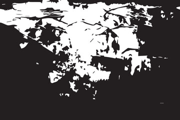 Black and White Monochrome Vector Illustration Texture Background Overlay