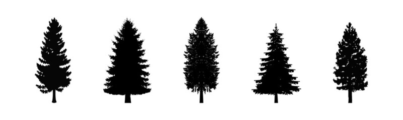 Pinetree vector silhouette. Tree flat black emblem set. © 11ua