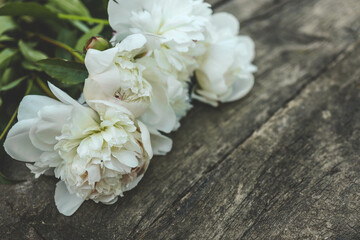 White peonies on a white wooden background, copy space, greeting card