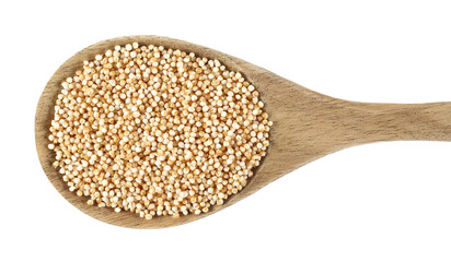 Amaranth pops in wooden spoon, popped grains isolated on white background, top view