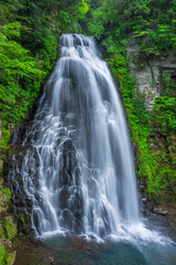 Obraz premium waterfall in the forest