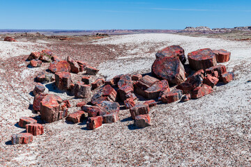 Chunk of fosilized logs in petrified forest national park
