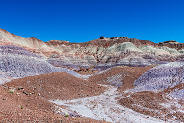 Petrified forest national park blue messa badland colors