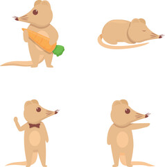 Shrew mouse icons set cartoon vector. Long nose shrew mouse. Rare animal